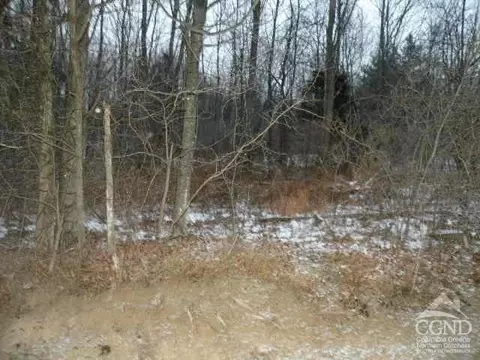 0 Route 23, Copake, NY 12521 photo 5