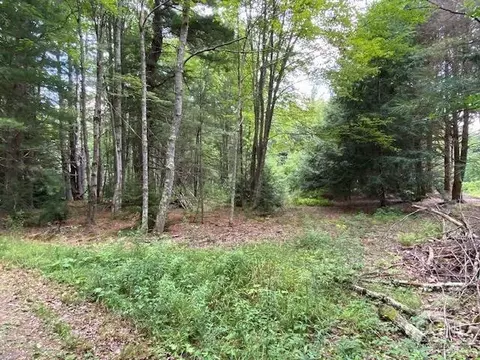 359 Begley Rd, Windham, NY 12496 photo 15