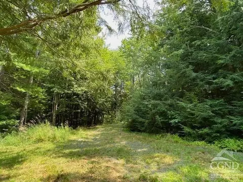 359 Begley Rd, Windham, NY 12496 photo 13