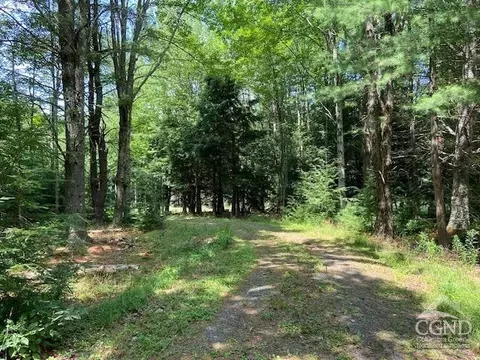 359 Begley Rd, Windham, NY 12496 photo 5