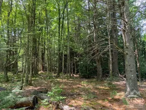 359 Begley Rd, Windham, NY 12496 photo 8