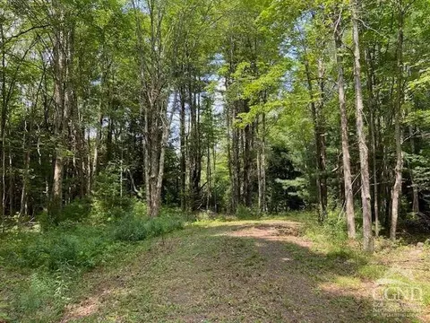 359 Begley Rd, Windham, NY 12496 photo 20