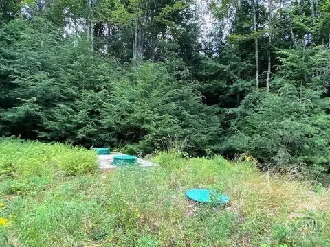 359 Begley Rd, Windham, NY 12496 photo 6
