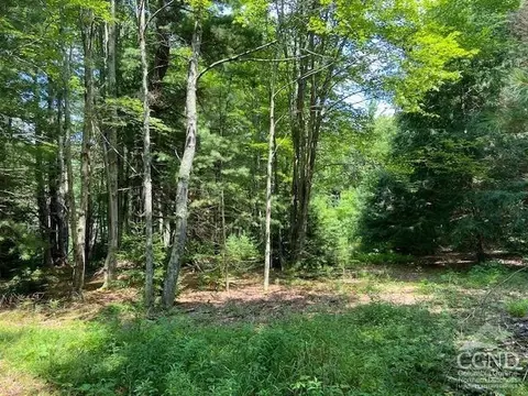 359 Begley Rd, Windham, NY 12496 photo 21