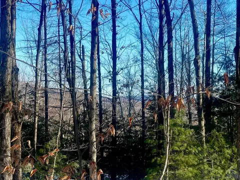 0 Tower Mountain Rd, Jewett, NY 12444