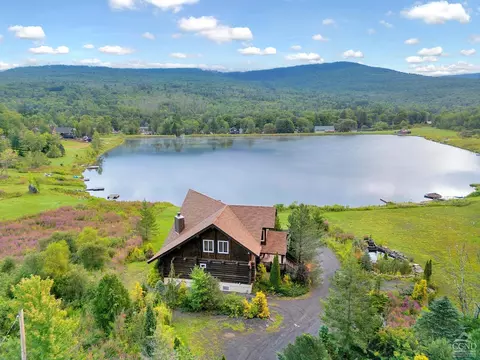 196 Pine Ln, Hunter, NY 12442 photo 86