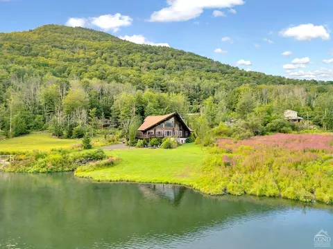 196 Pine Ln, Hunter, NY 12442 photo 89