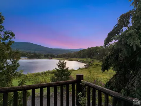 196 Pine Ln, Hunter, NY 12442 photo 87