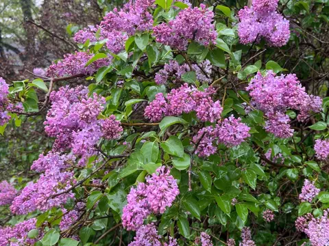 Other - 8176 Main St, Hunter, NY 12442 photo 7 of 7