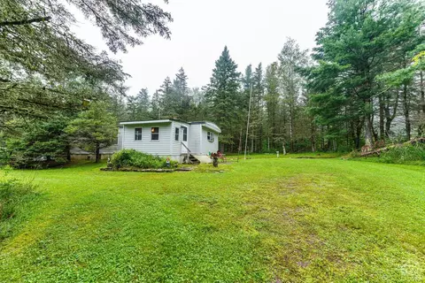 1183 Potter Mountain Rd, Conesville, NY 12076