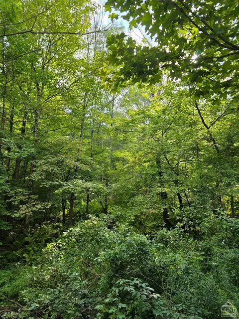 0 Middle Rd, Austerlitz, NY 12017 photo 8