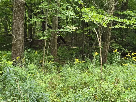 0 Middle Rd, Austerlitz, NY 12017 photo 4