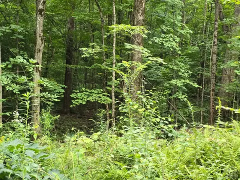 0 Middle Rd, Austerlitz, NY 12017 photo 5