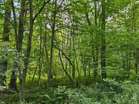 0 Middle Rd, Austerlitz, NY 12017 photo 3