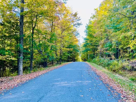 76 Off Begley Rd, Windham, NY 12496 photo 10