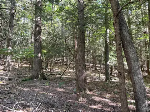 76 Off Begley Rd, Windham, NY 12496 photo 6