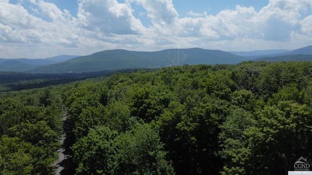 76 Off Begley Rd, Windham, NY 12496