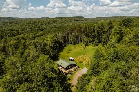 45 Little Ireland Rd, Livingston Manor, NY 12758