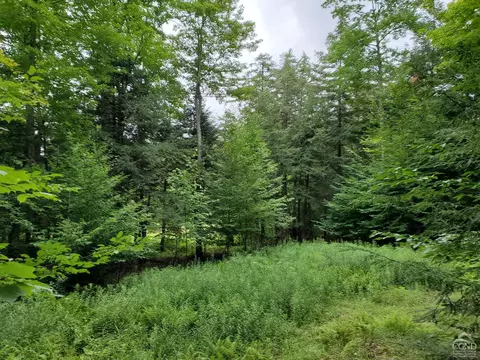 66 90 Harra Rd, Jewett, NY 12444