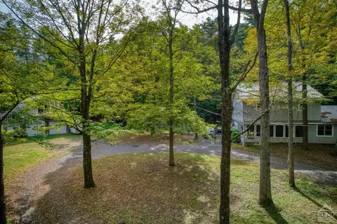 1301 Mountain Ave, Purling, NY 12470