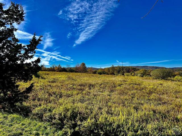 565 Poplar Hl, Dover, NY 12522