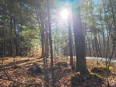 0 Avery Hand Lane Parcel 5-2, New Lebanon, NY 12125