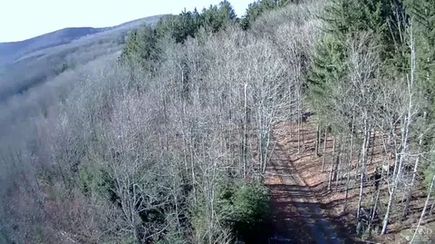 0 Off Mount Pisgah Rd, Windham, NY 12496 photo 2