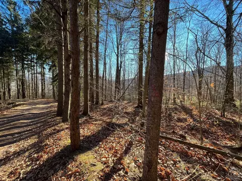 0 Off Mount Pisgah Rd, Windham, NY 12496 photo 9