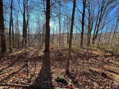 0 Off Mount Pisgah Rd, Windham, NY 12496 photo 5