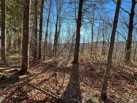 0 Off Mount Pisgah Rd, Windham, NY 12496 photo 6