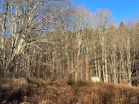 0 Off Mount Pisgah Rd, Windham, NY 12496 photo 10