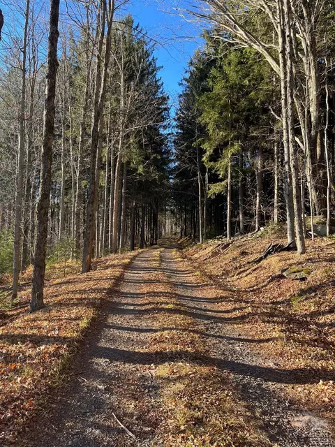 0 Off Mount Pisgah Rd, Windham, NY 12496 photo 3