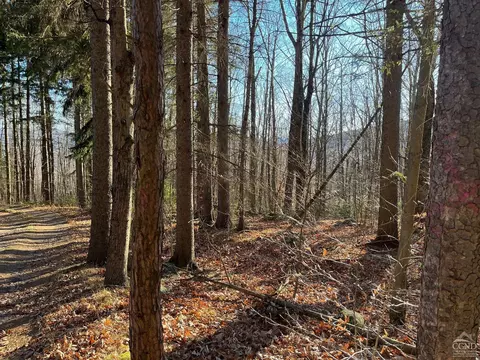 0 Off Mount Pisgah Rd, Windham, NY 12496 photo 8