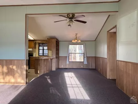 8334 Route 32, Cairo, NY 12413 photo 3