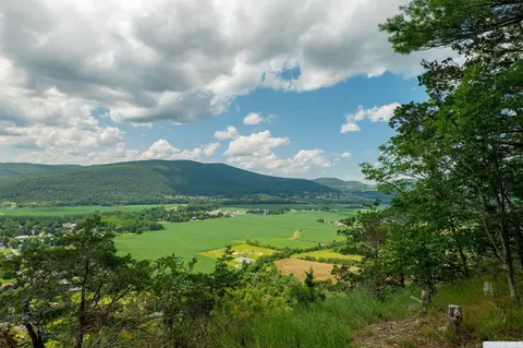 0 L16 Mt Path, Middleburgh, NY 12122