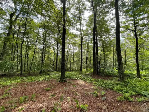 0 Red Hill Knolls Rd, Denning, NY 12740