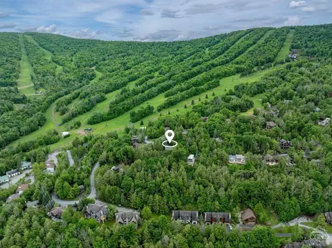 4 The Loop, Windham, NY 12496 photo 30