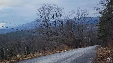0 Route 20 Prink Hl, Durham, NY 12423