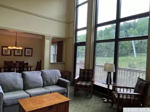 Living - 62 Liftside Dr #PENTHOUSE, Hunter, NY 12442 photo 3 of 4