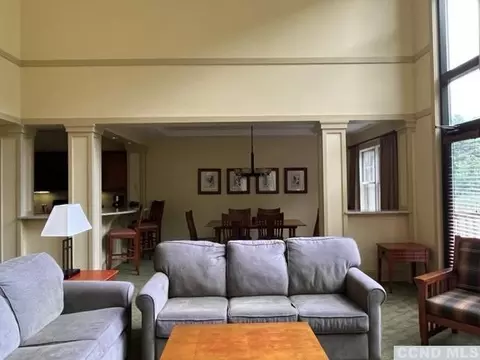 Living - 62 Liftside Dr #PENTHOUSE, Hunter, NY 12442 photo 1 of 4