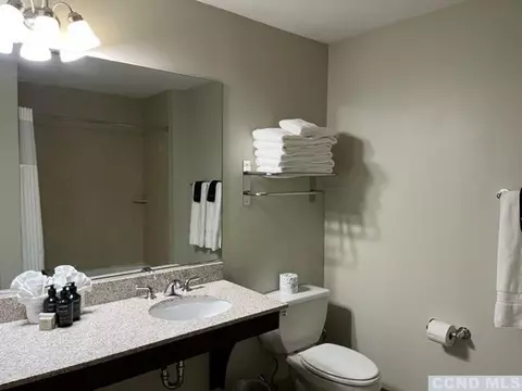 Bath - 62 Liftside Dr #PENTHOUSE, Hunter, NY 12442 photo 2 of 2