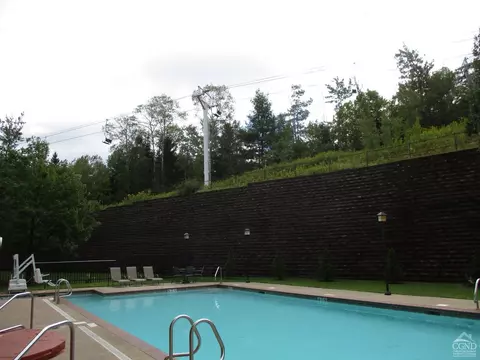 62 233f Liftside Dr #ALL 4, Hunter, NY 12442