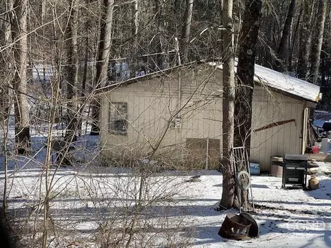 233 Silver Spr Rd, Cairo, NY 12413 photo 9