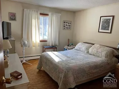 233 Silver Spr Rd, Cairo, NY 12413 photo 4