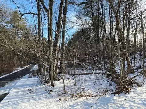 233 Silver Spr Rd, Cairo, NY 12413 photo 11