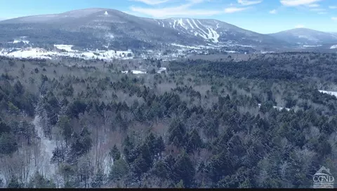 65 Sundance Dr, Windham, NY 12496