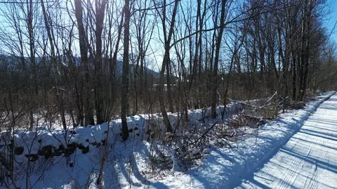 0 Trail View Ln, Windham, NY 12496 photo 3