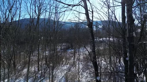 0 Trail View Ln, Windham, NY 12496 photo 4