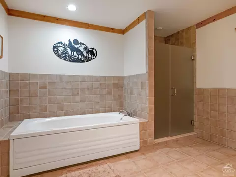 Bath - 150 Trailside Rd, Windham, NY 12496 photo 3 of 11