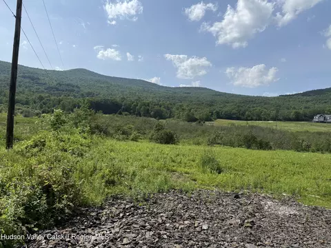 0 Mitchell Hollow Rd, Windham, NY 12496 photo 13